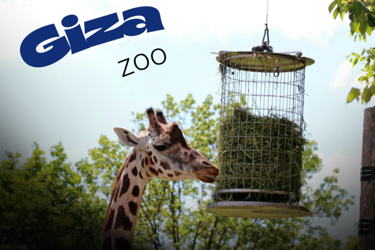 Giza Zoo: A Living Legacy of Nature, History, and Heritage